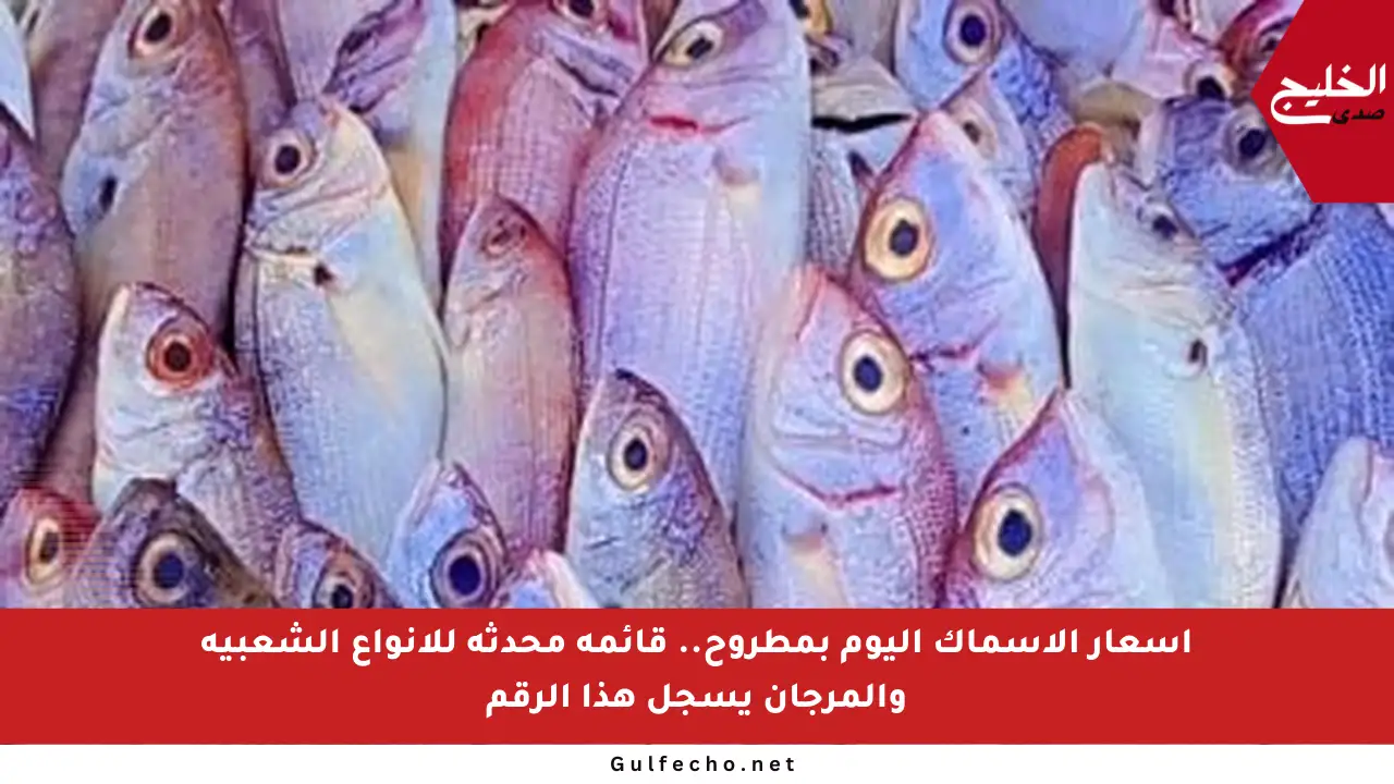 أسعار الأسماك اليوم بمطروح.. قائمة محدثة للأنواع الشعبية والمرجان يسجل هذا الرقم